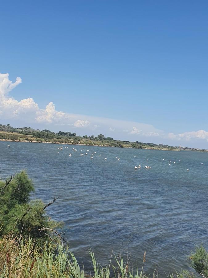 Vacances En Camargue Le Grau-du-Roi Eksteriør bilde
